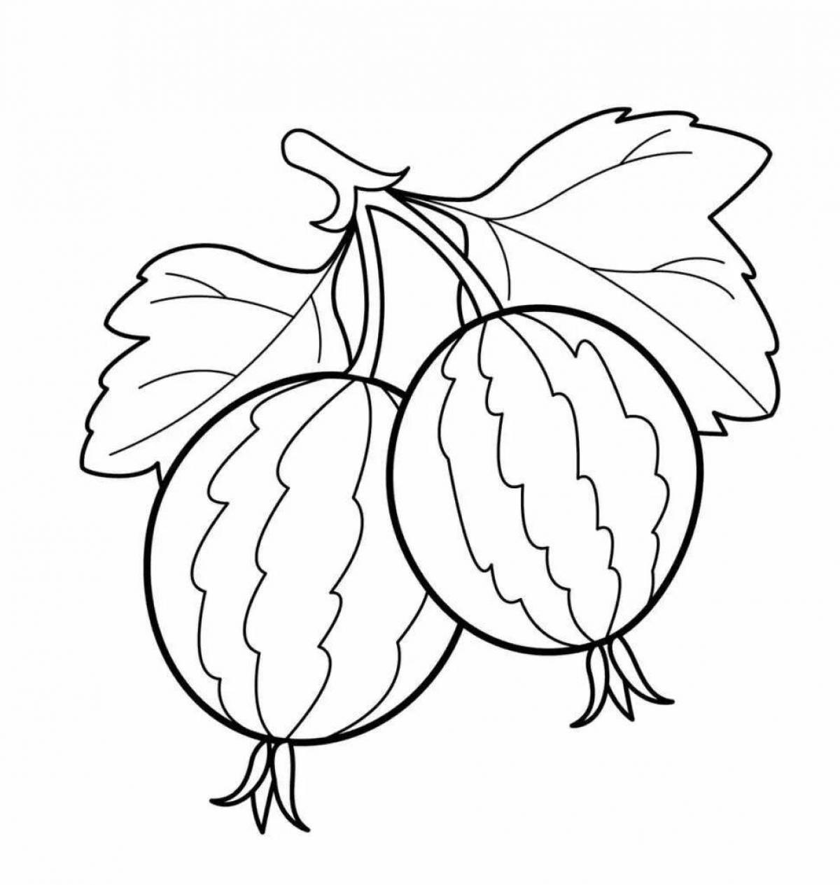 Great gooseberry coloring book for kids