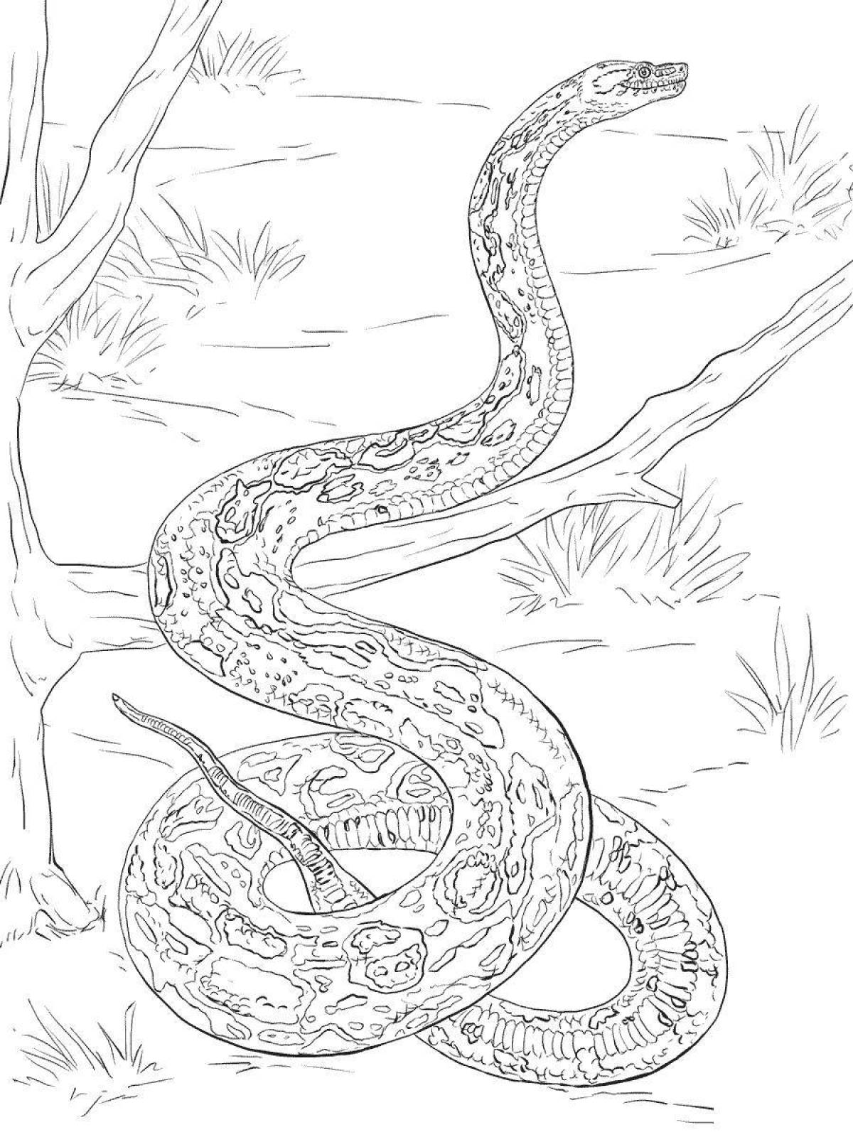 Coloring bright snake by numbers