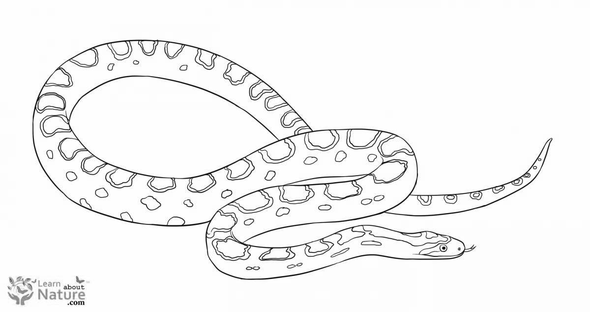 Adorable snake by numbers coloring book