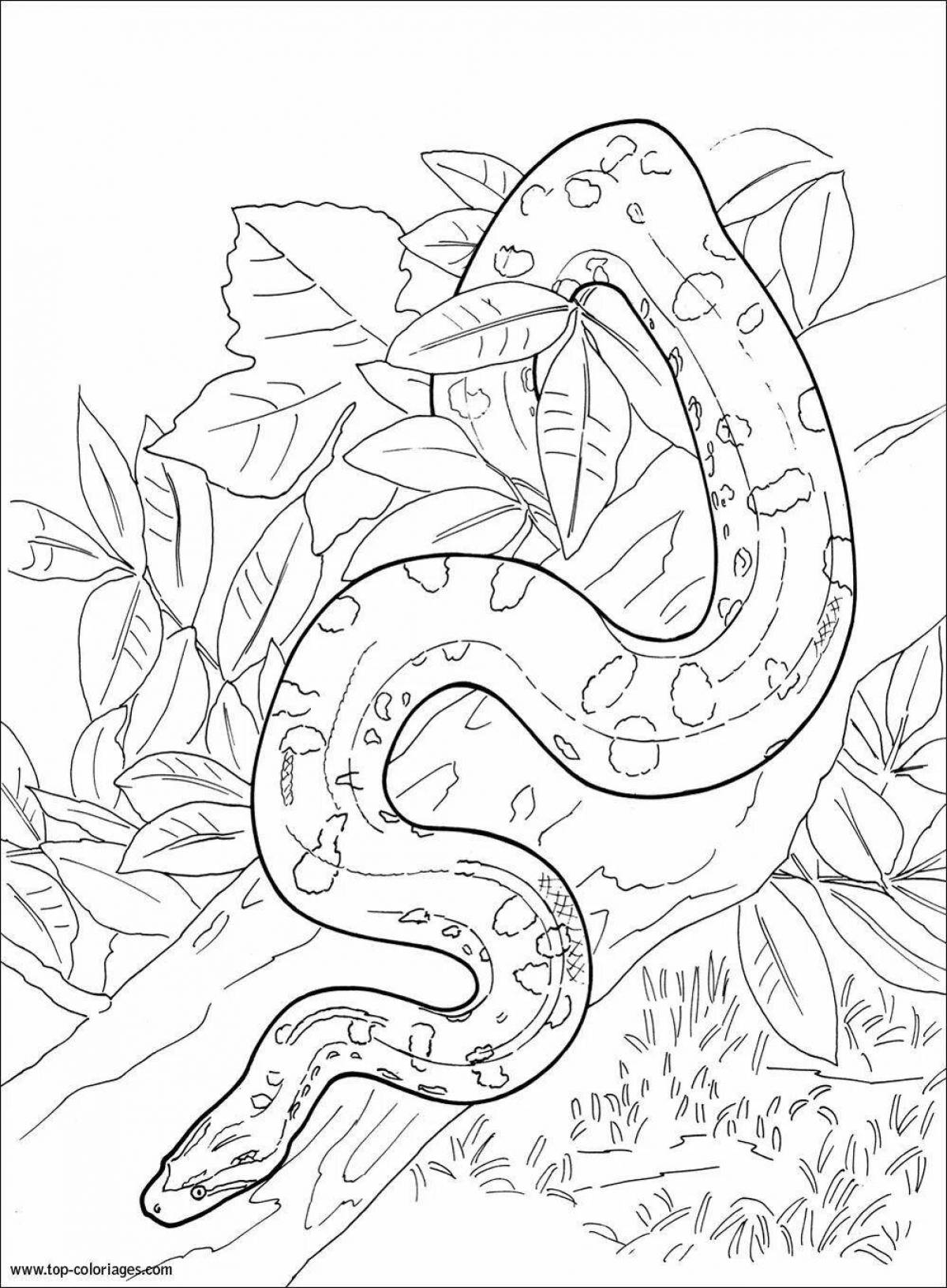 Раскраска сияющая змея по номерам
