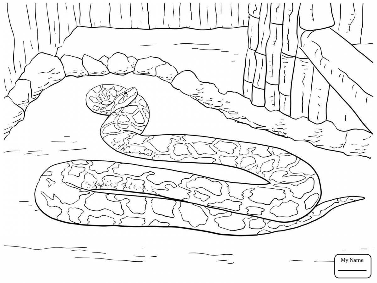 Coloring wonderful snake by numbers