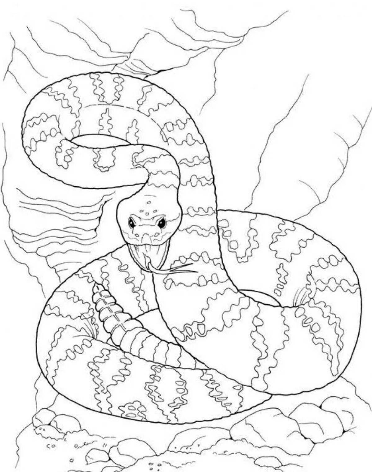Чудесная змея по номерам раскраска