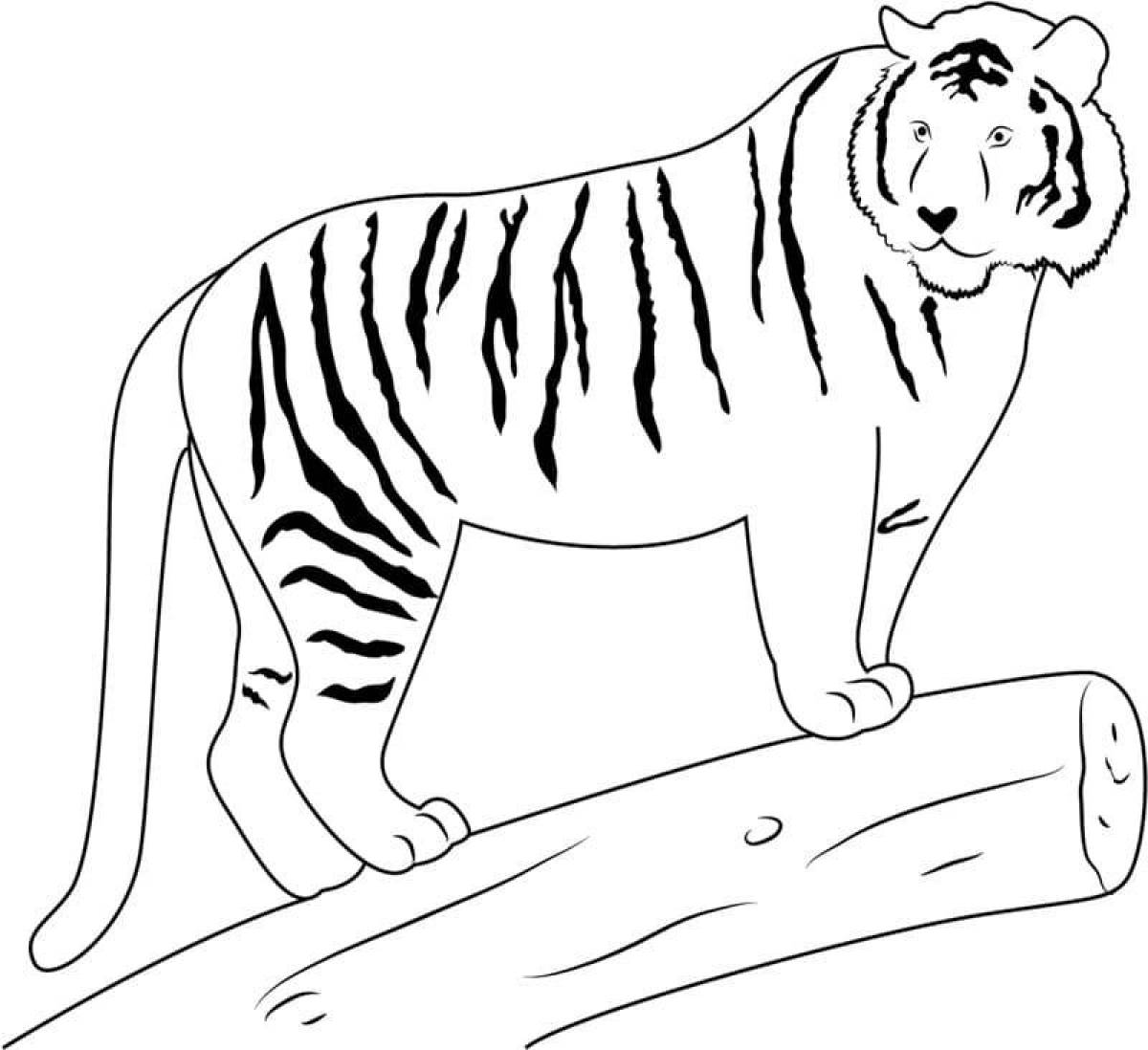 Уссурийский тигр раскраска для детей
