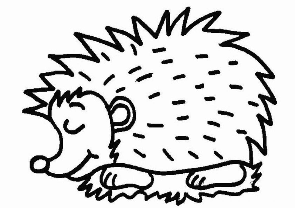 Creative hedgehog coloring book for kids