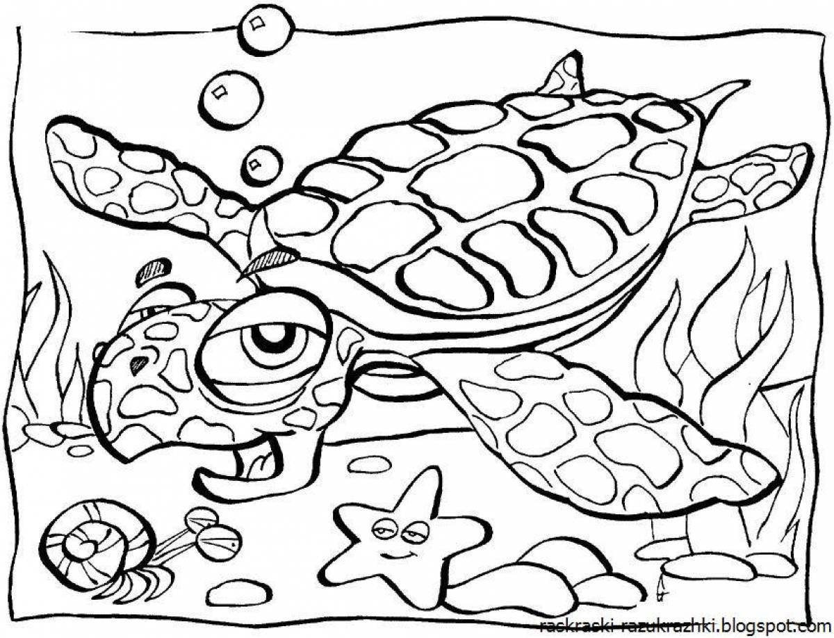 Coloring funny turtle