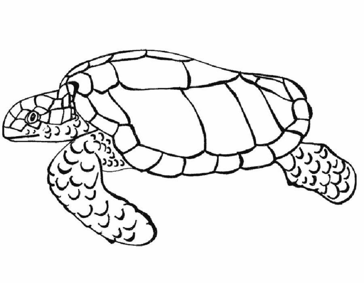 Joyful turtle coloring book