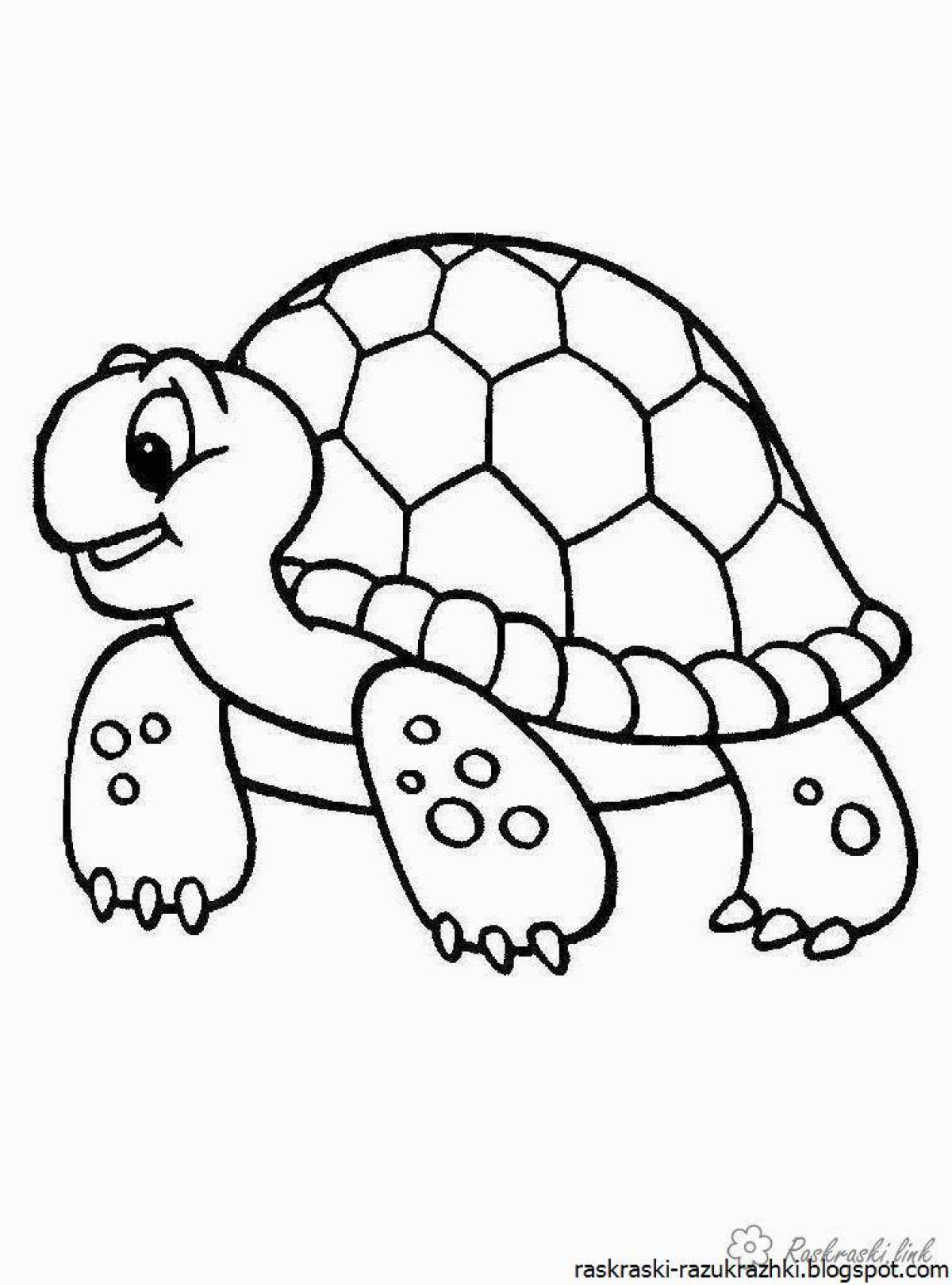 Colouring turtle