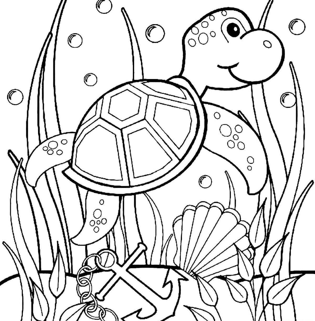 Coloring playful turtle