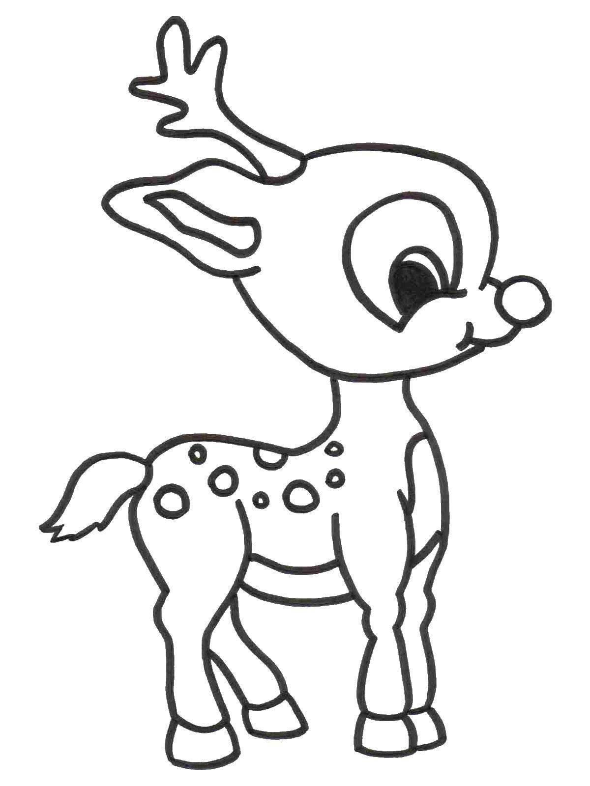 Gorgeous deer coloring book for kids