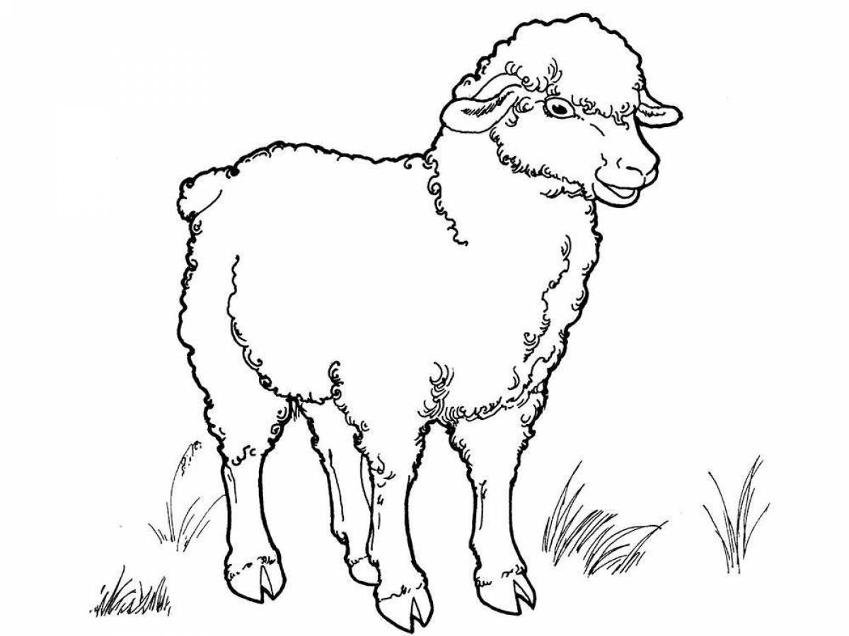 Soft coloring lamb