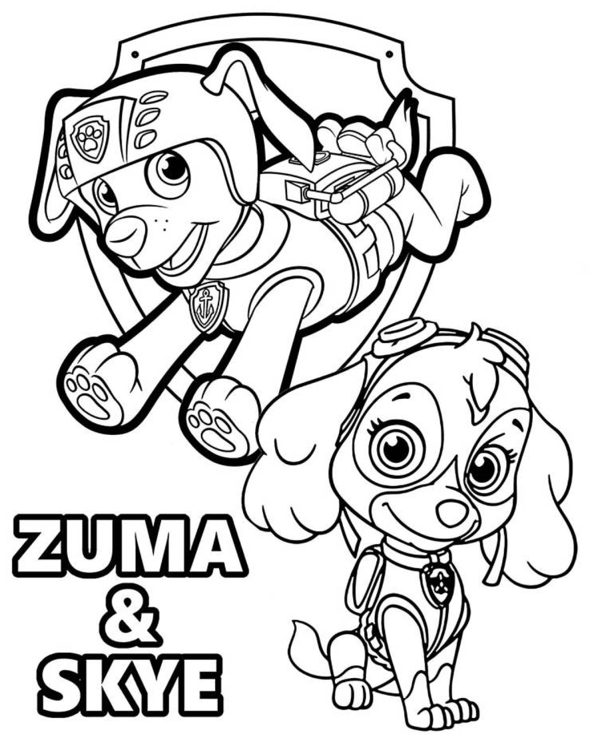 Paw Patrol Glittering Sky Coloring Page