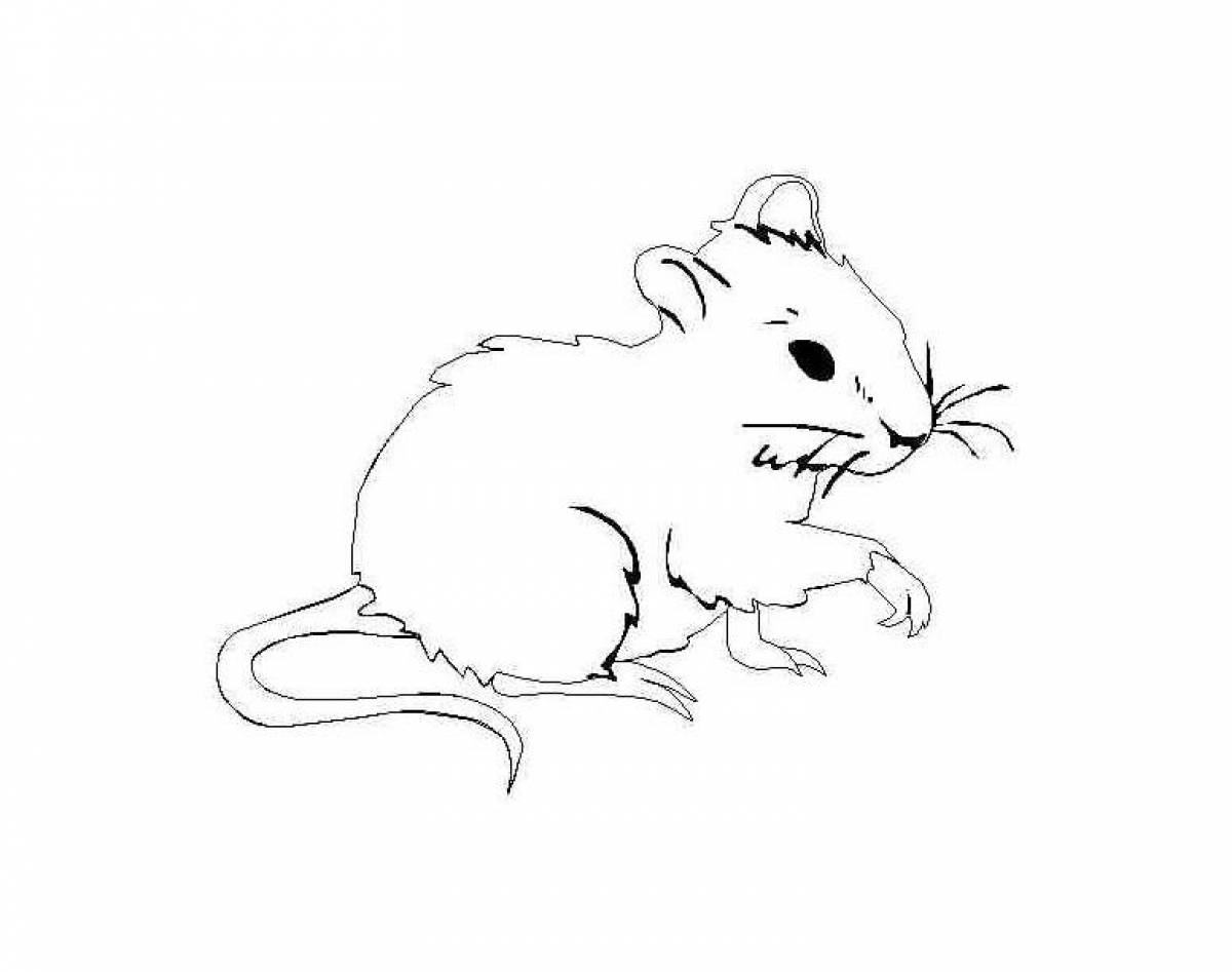 Fun coloring mouse