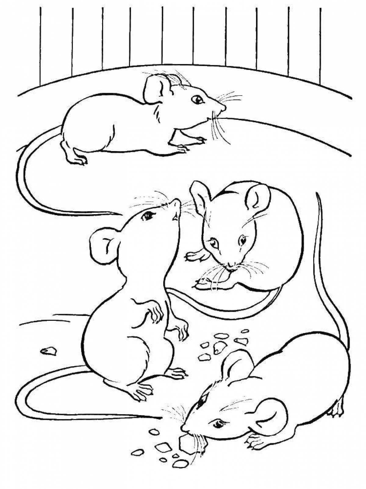 Живая раскраска мышь