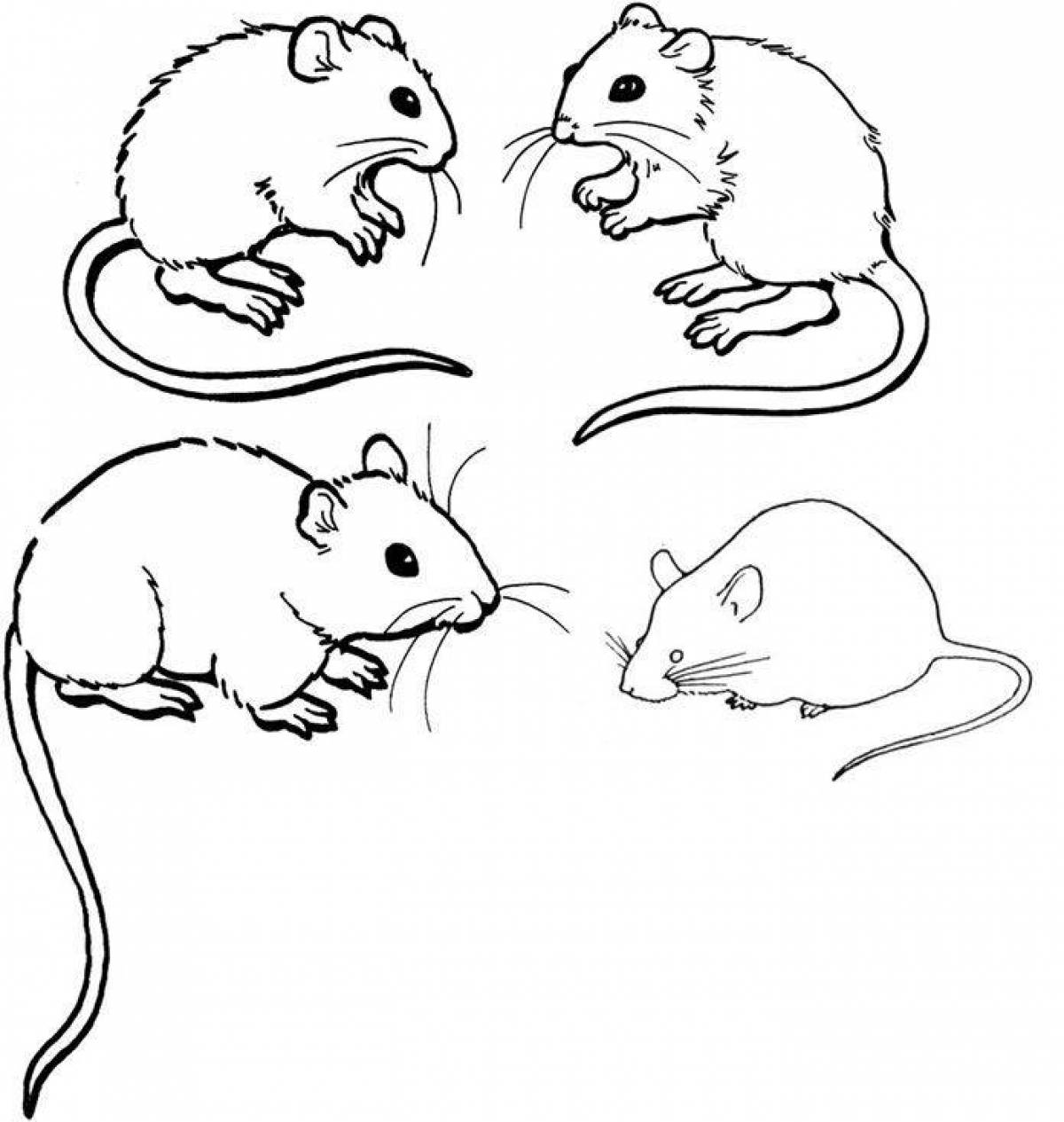 Озорная мышь-раскраска