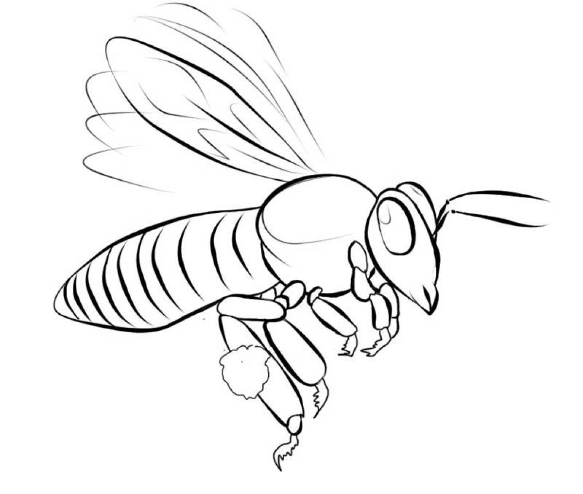 Раскраска яркая пчела