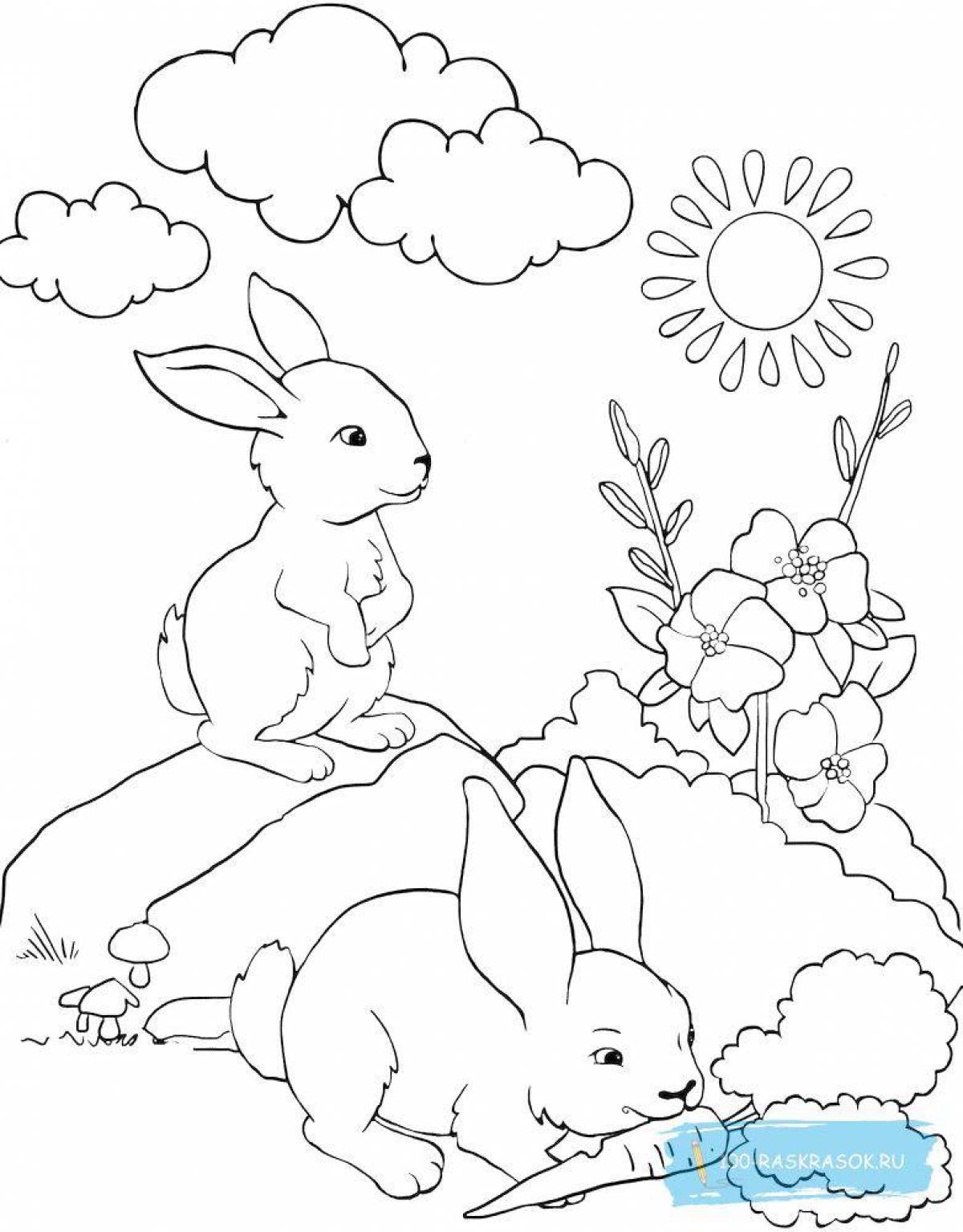 Fancy rabbit coloring for kids
