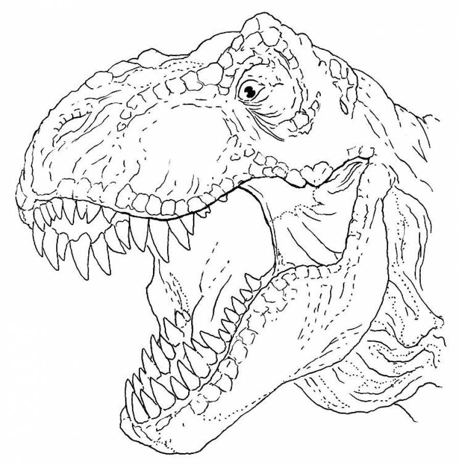Тираннозавр рисунок раскраска