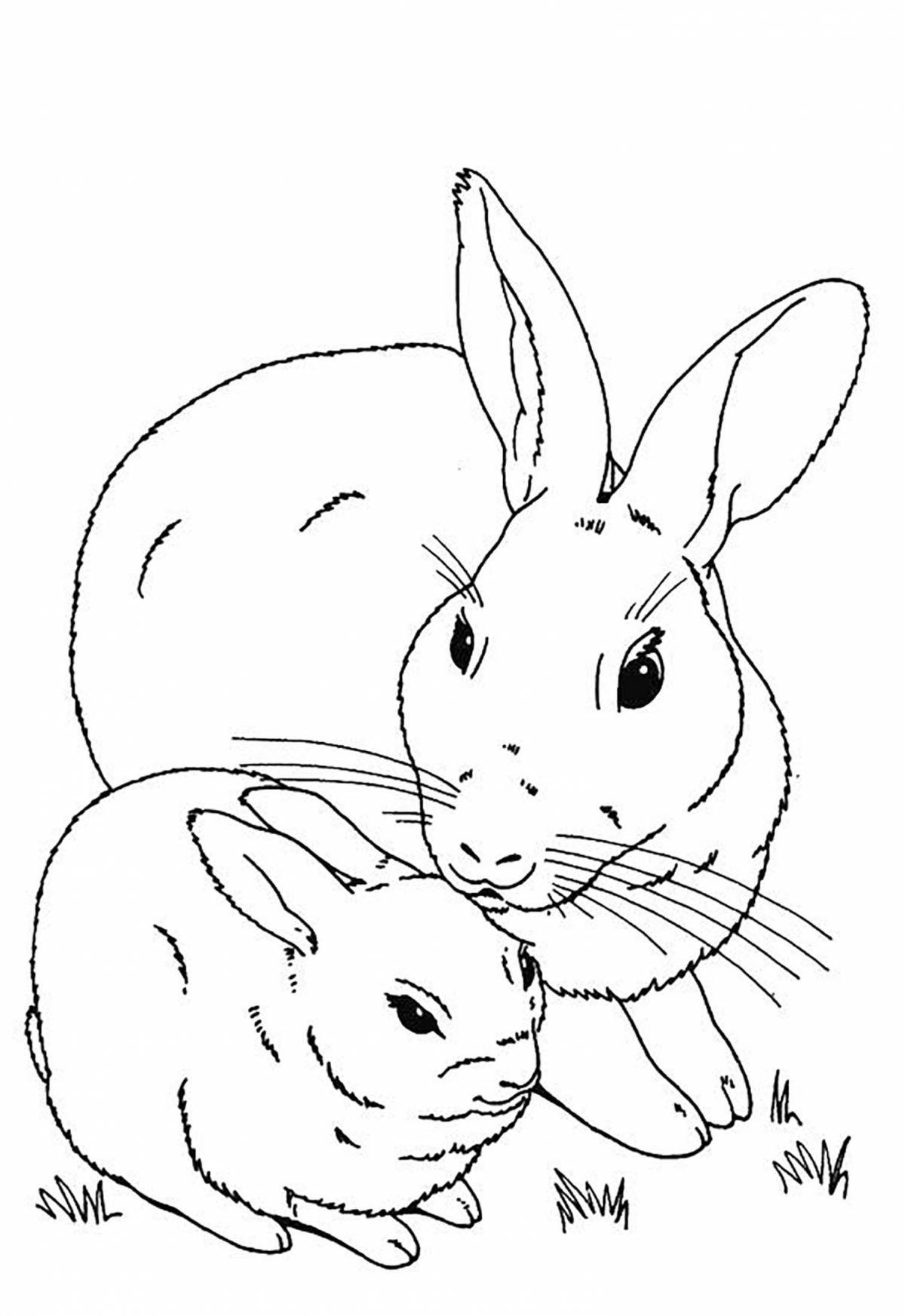 Smiling rabbit coloring book for children