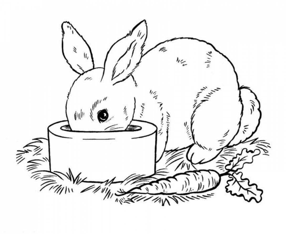 Резвящийся кролик-раскраска для детей