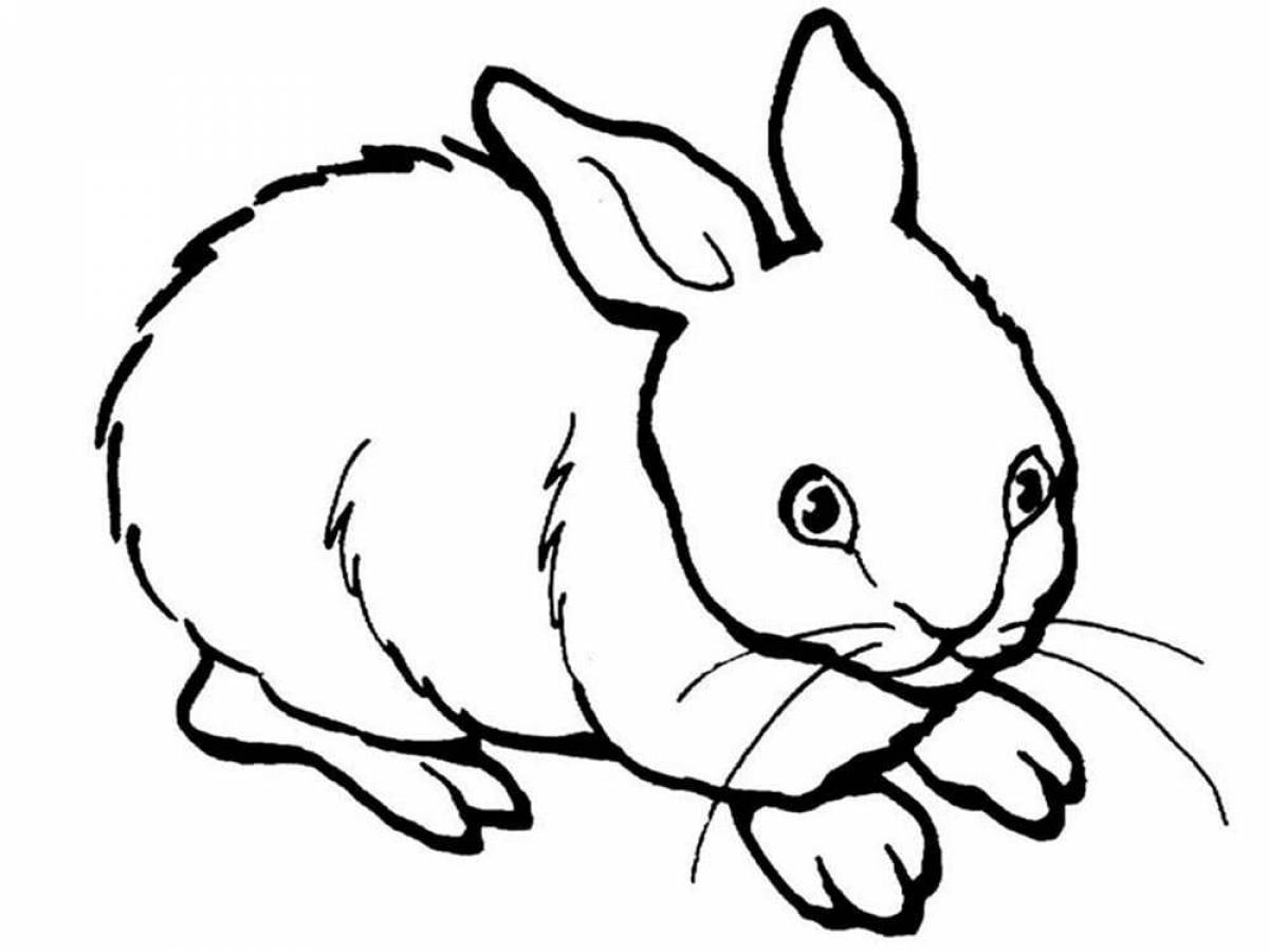 Baby rabbit #6