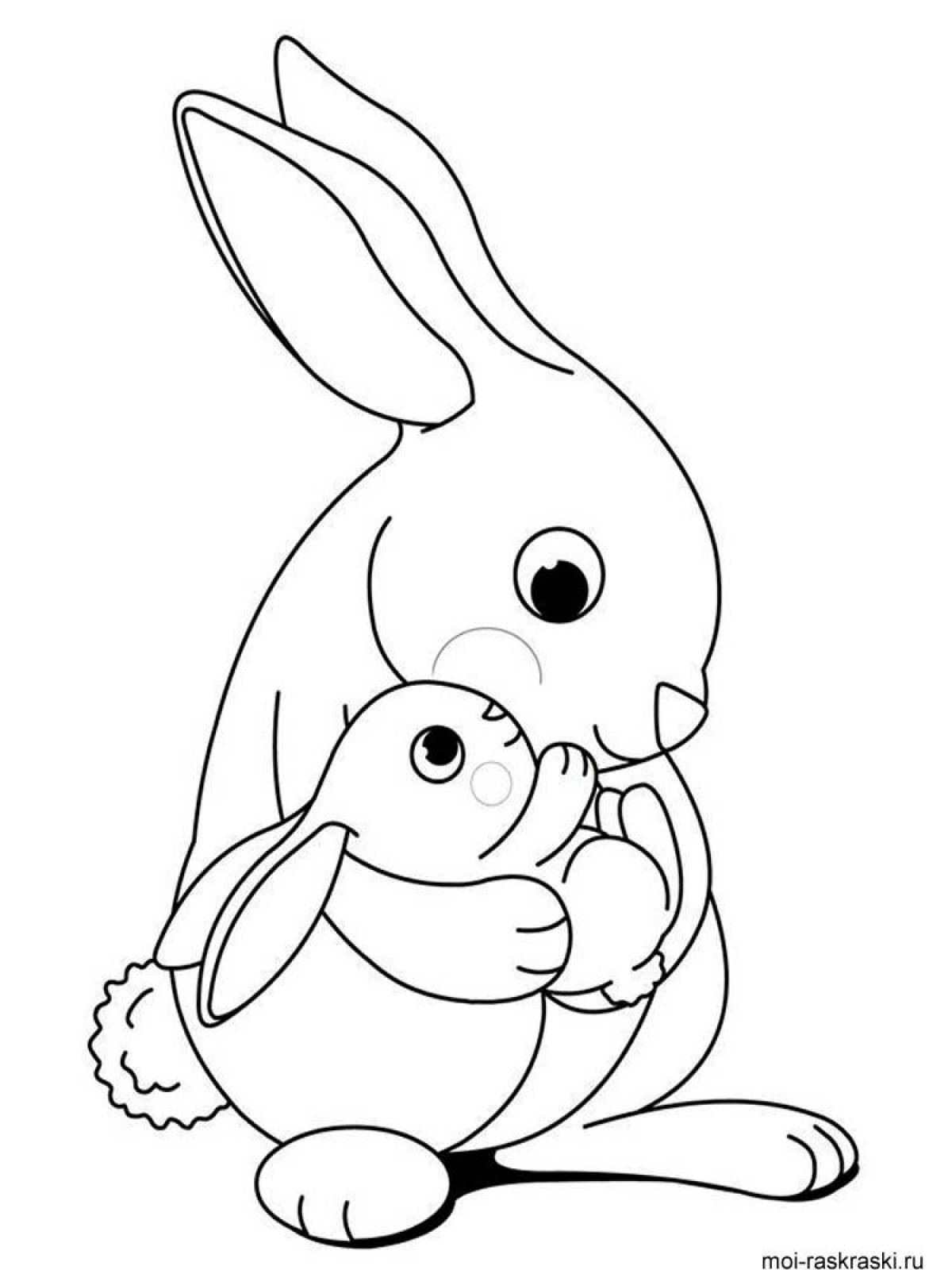 Baby rabbit #8