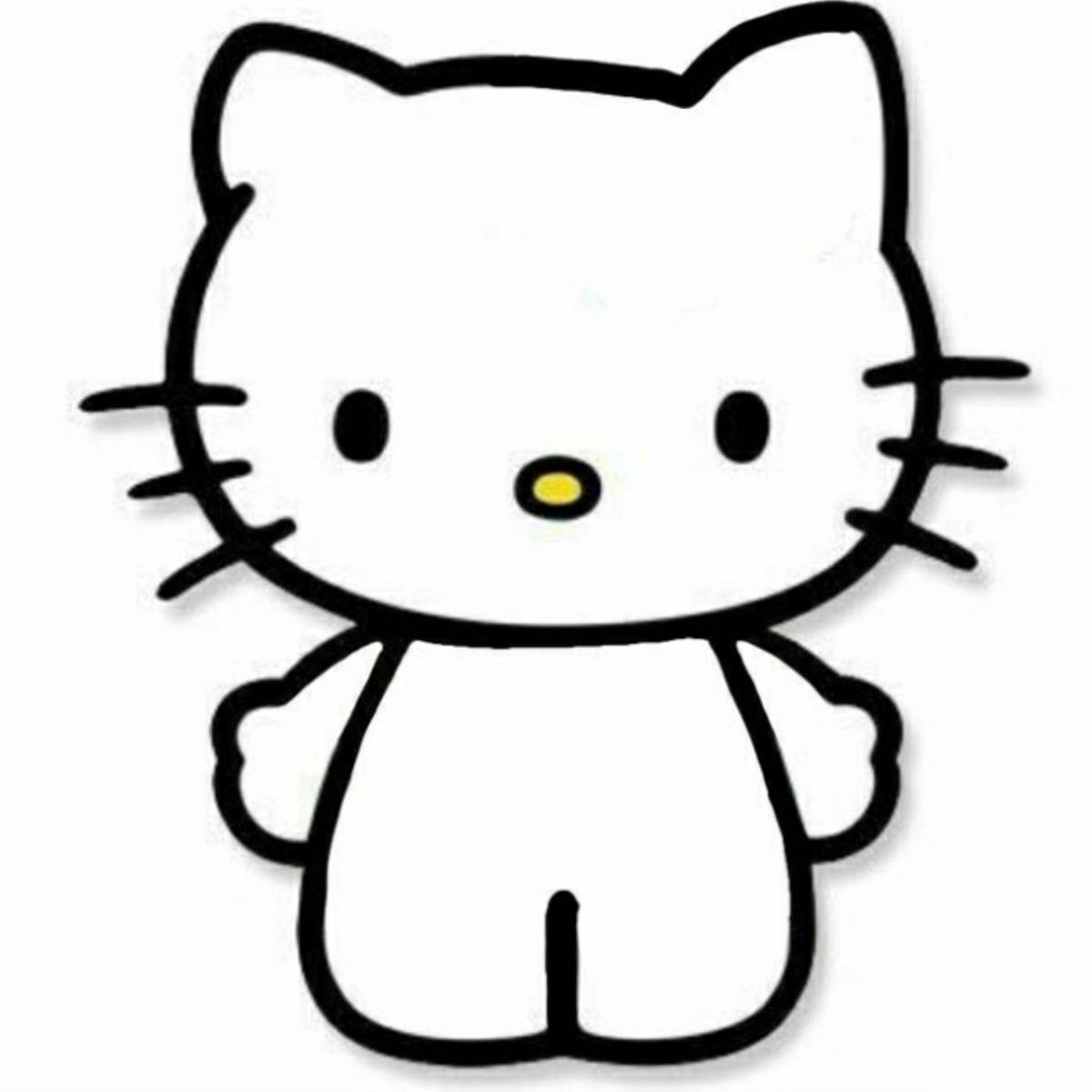 Cute hello kitty with clothes