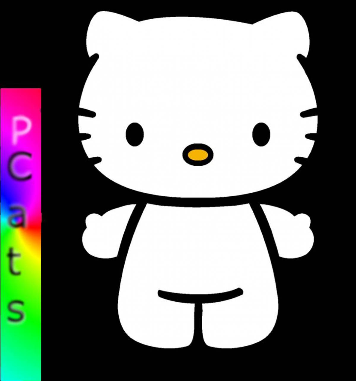Glorious hello kitty with clothes