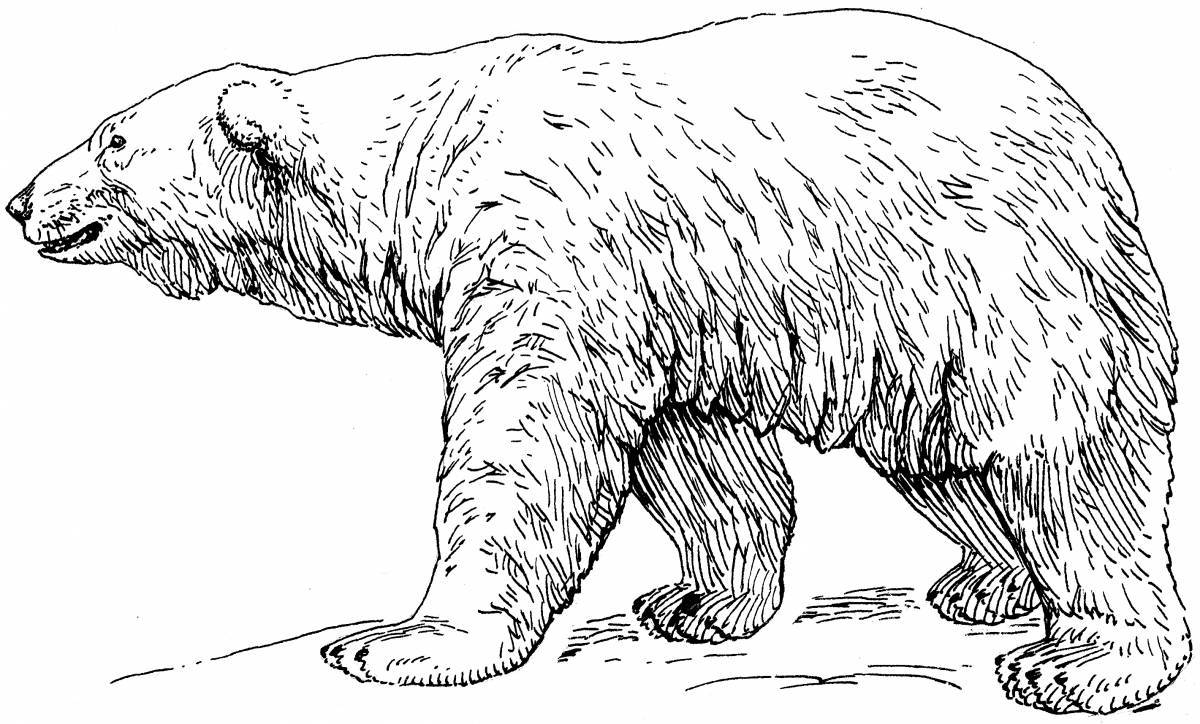 Joyful polar bear coloring book for kids