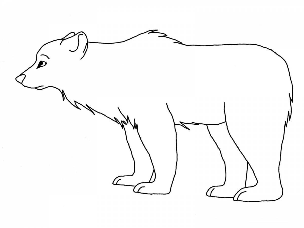 Colorful polar bear coloring page for kids