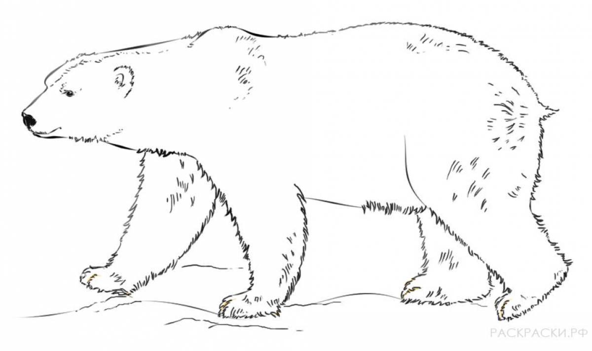Awesome polar bear coloring pages for kids