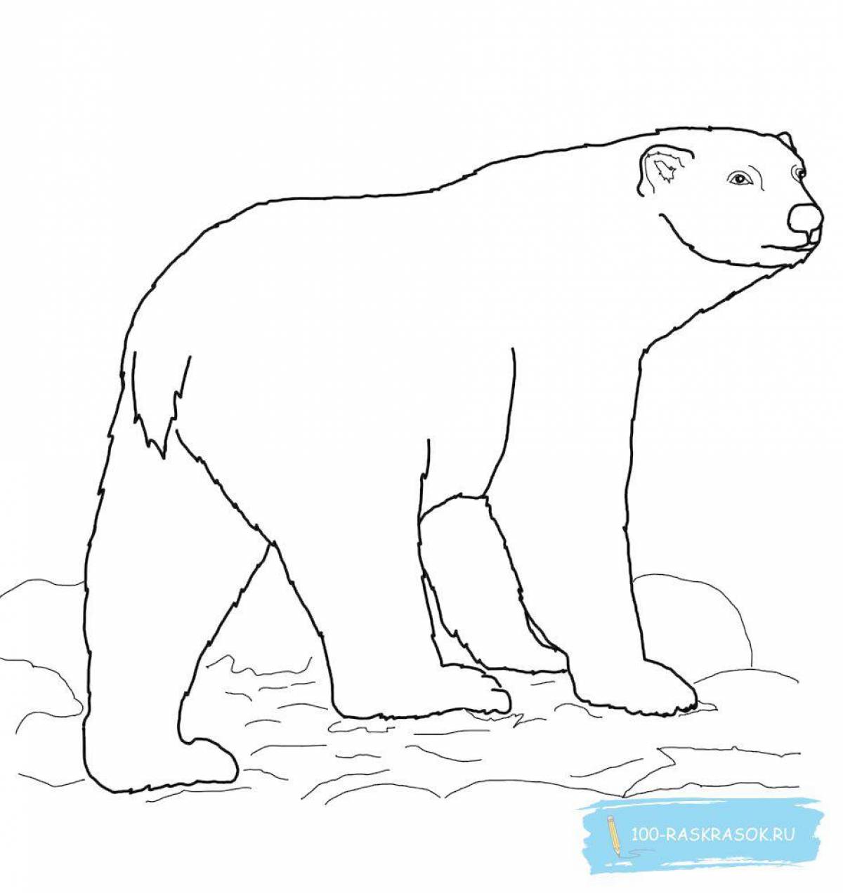 Блестящие раскраски белого медведя для детей