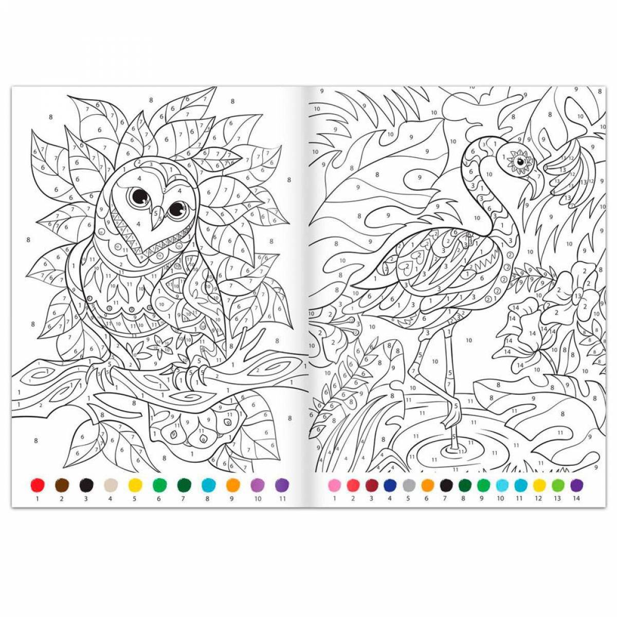 Nice coloring by numbers for girls