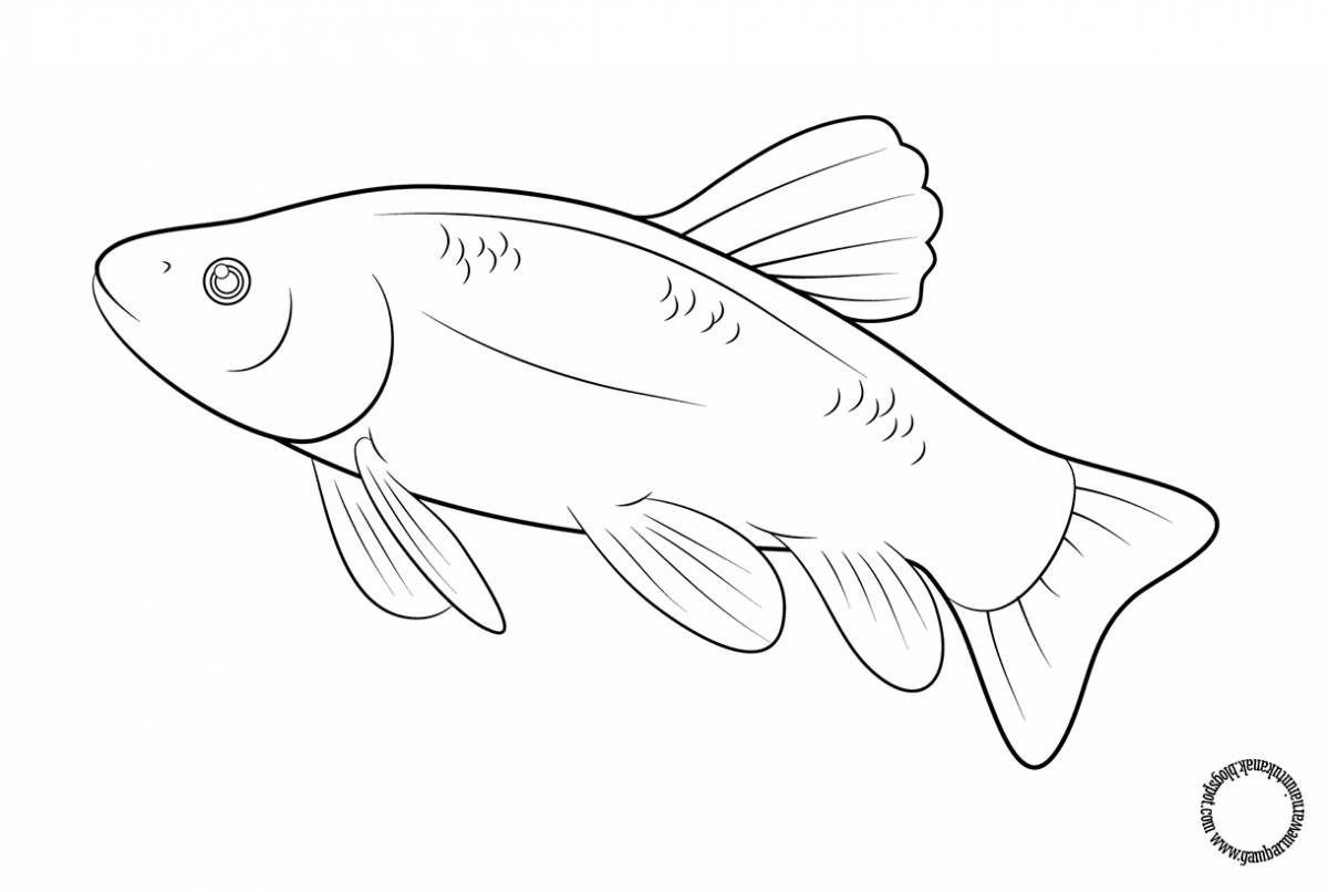 Intriguing fish coloring book for kids