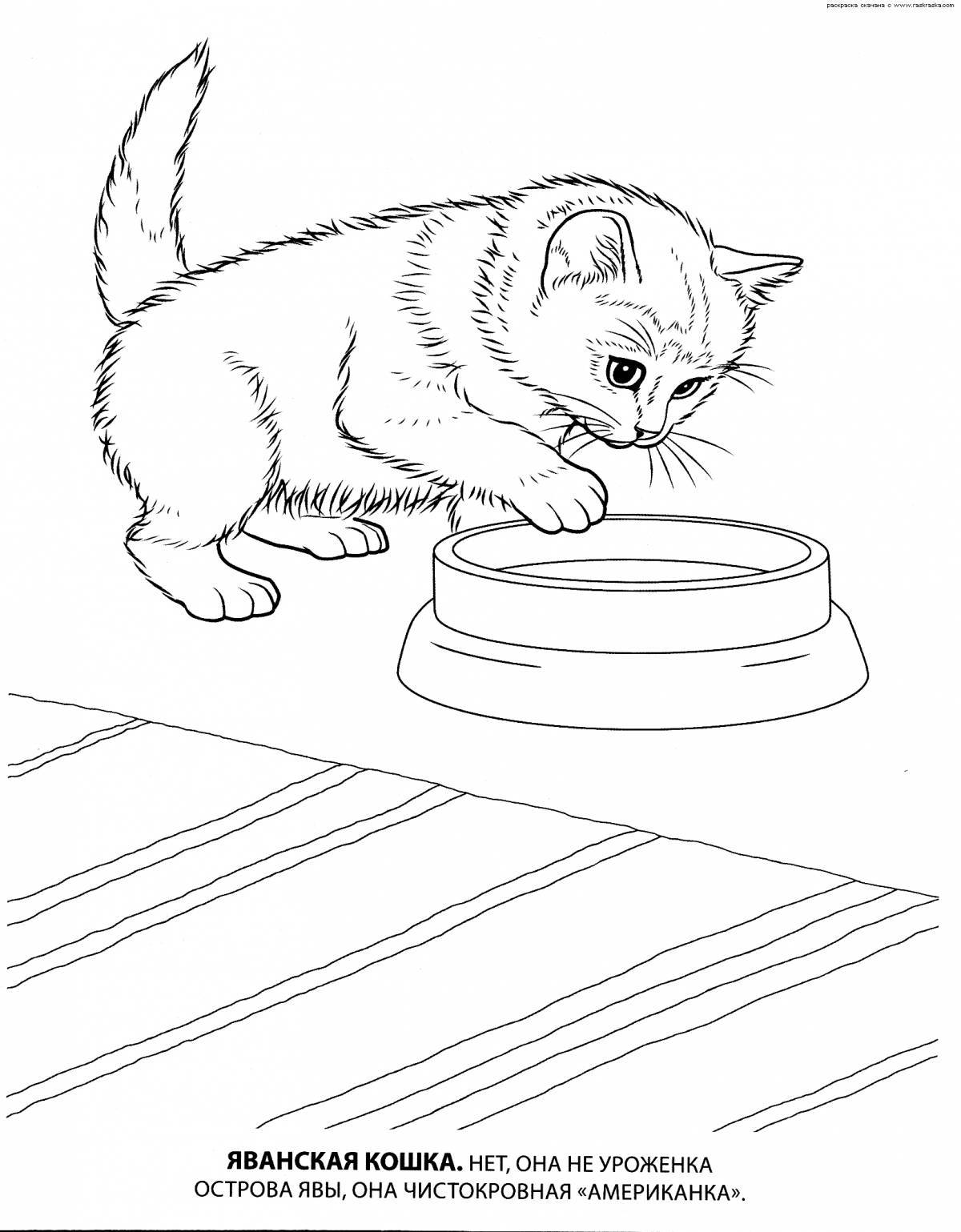 Friendly kitten coloring book for kids
