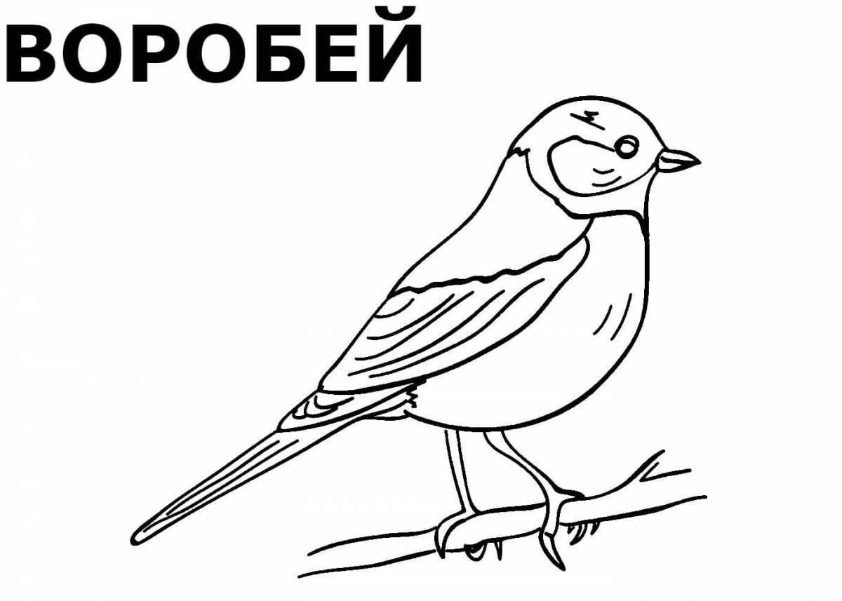 Cute wintering birds coloring pages for kids