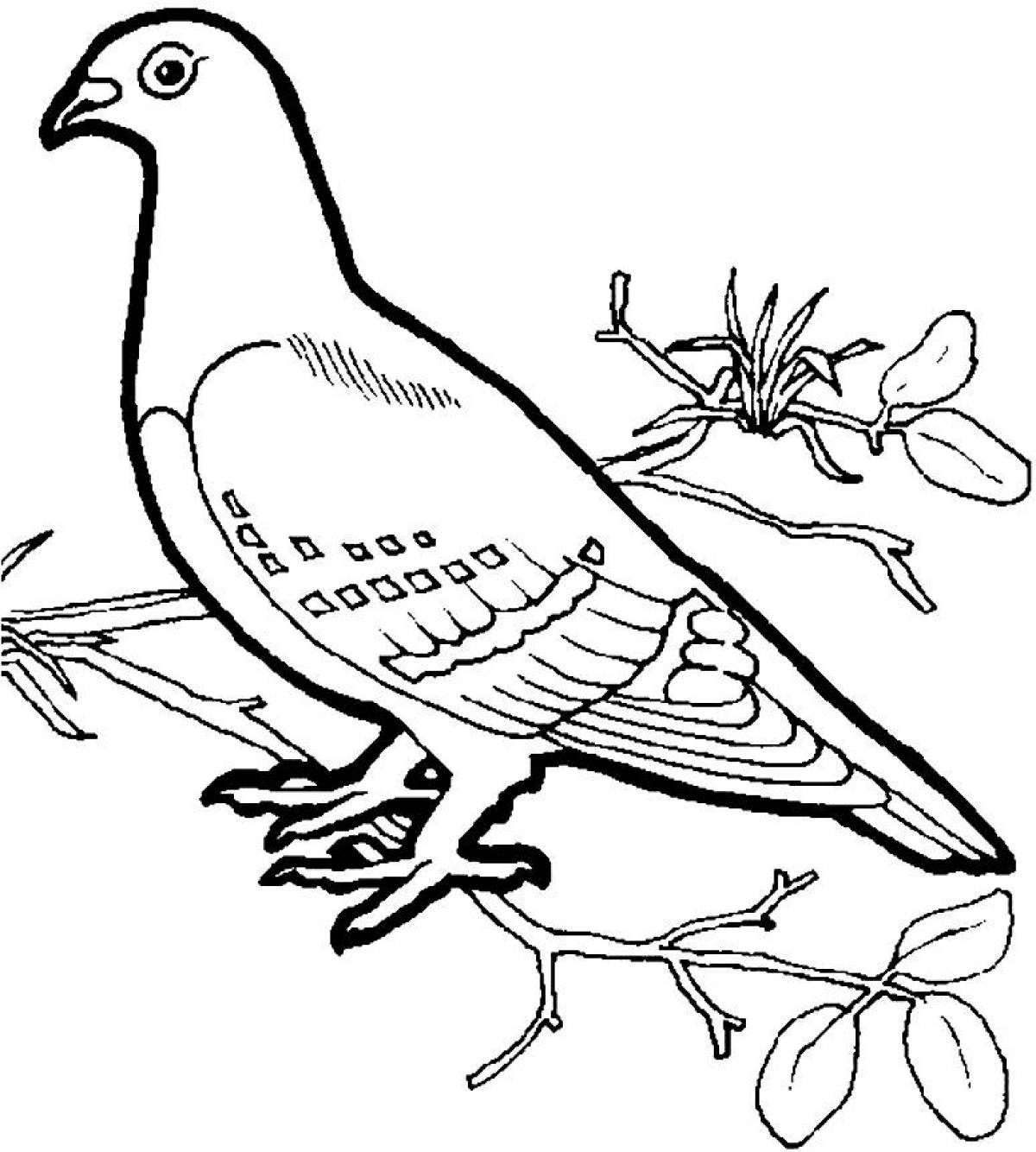 Fantastic wintering birds coloring pages for kids