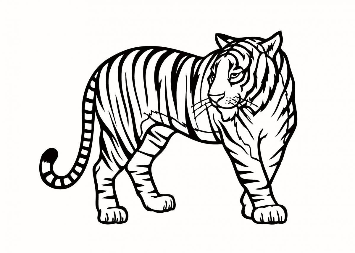 Coloring majestic siberian tiger