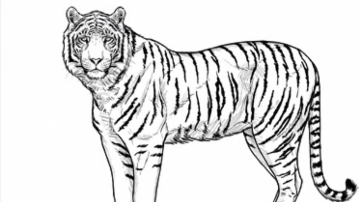 Adorable Siberian tiger coloring page