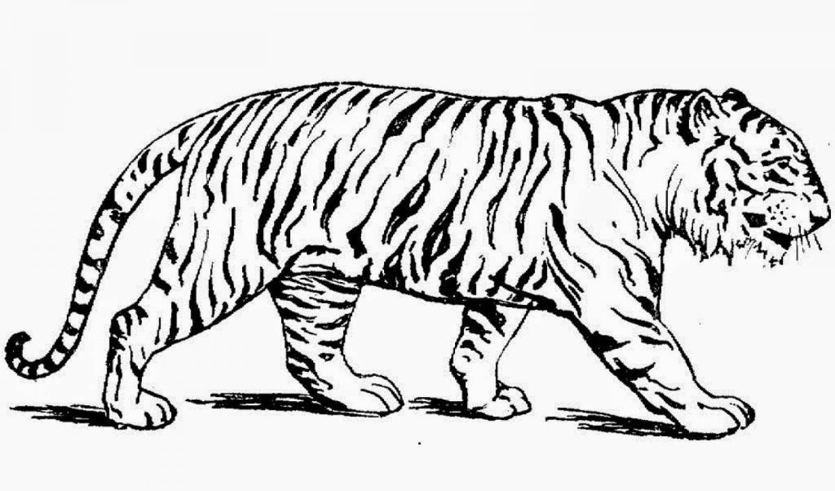 Coloring book flawless Siberian tiger