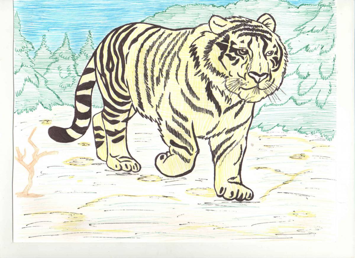 Coloring book exotic siberian tiger