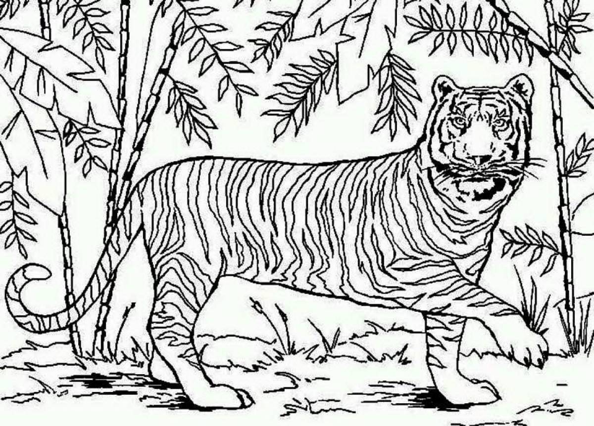 Coloring book big siberian tiger