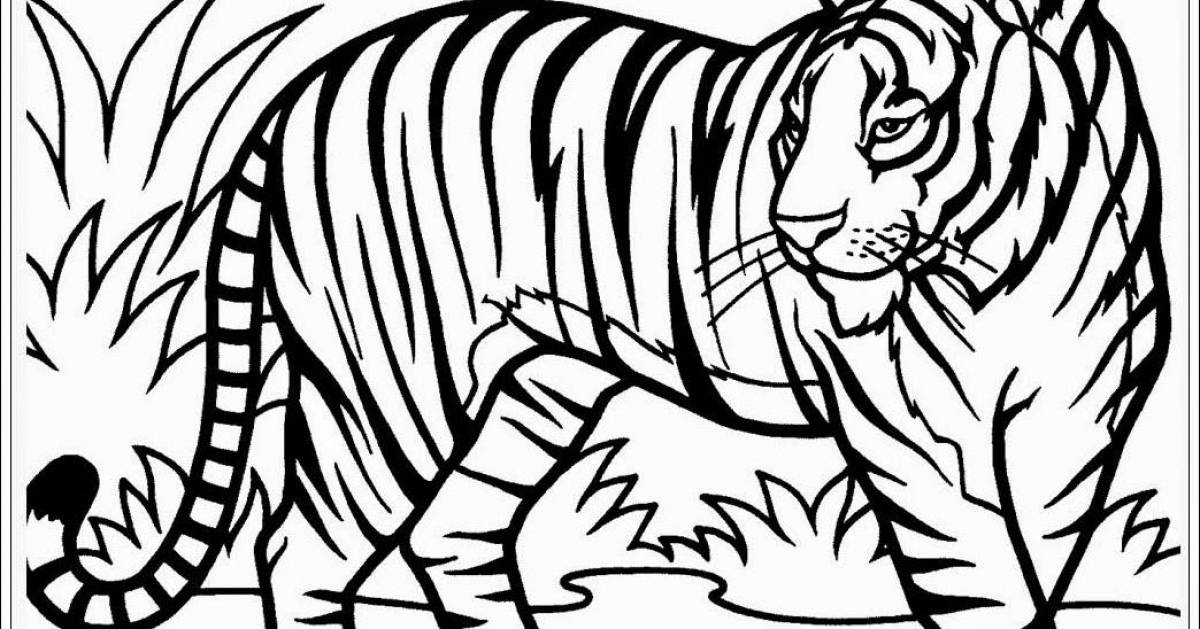 Coloring page graceful siberian tiger