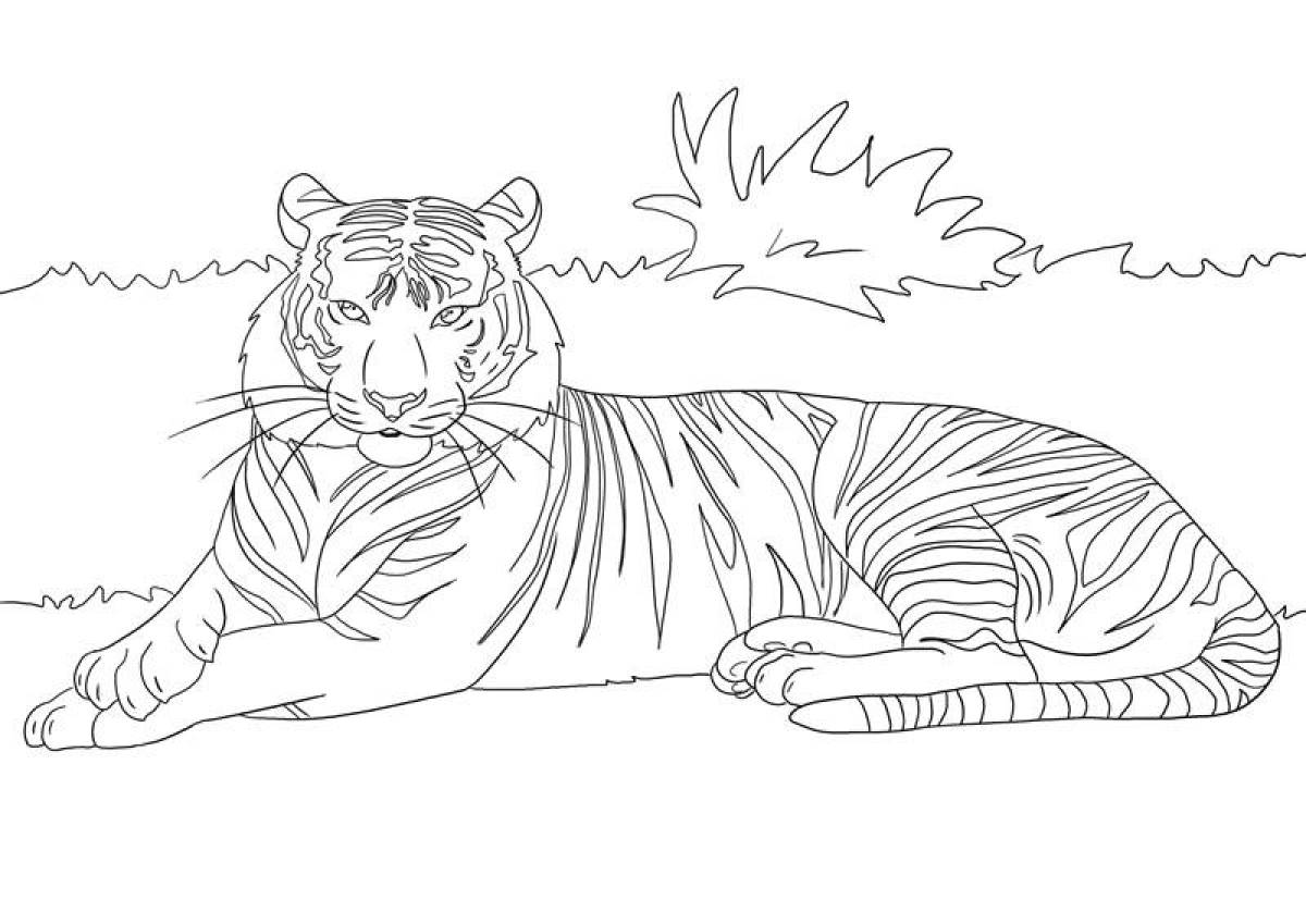 Amur tiger #4
