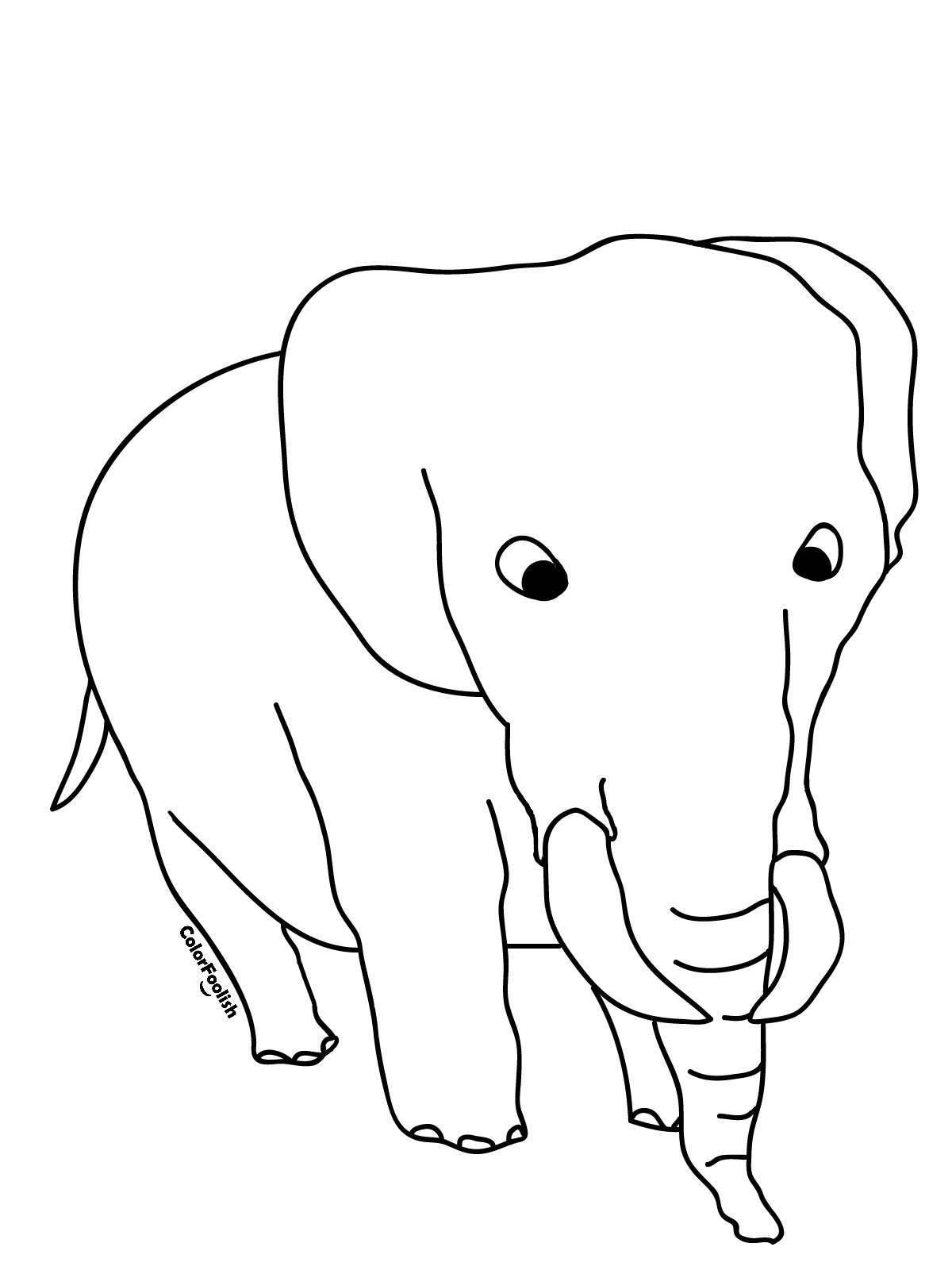 Славная раскраска слон куприн 3 класс