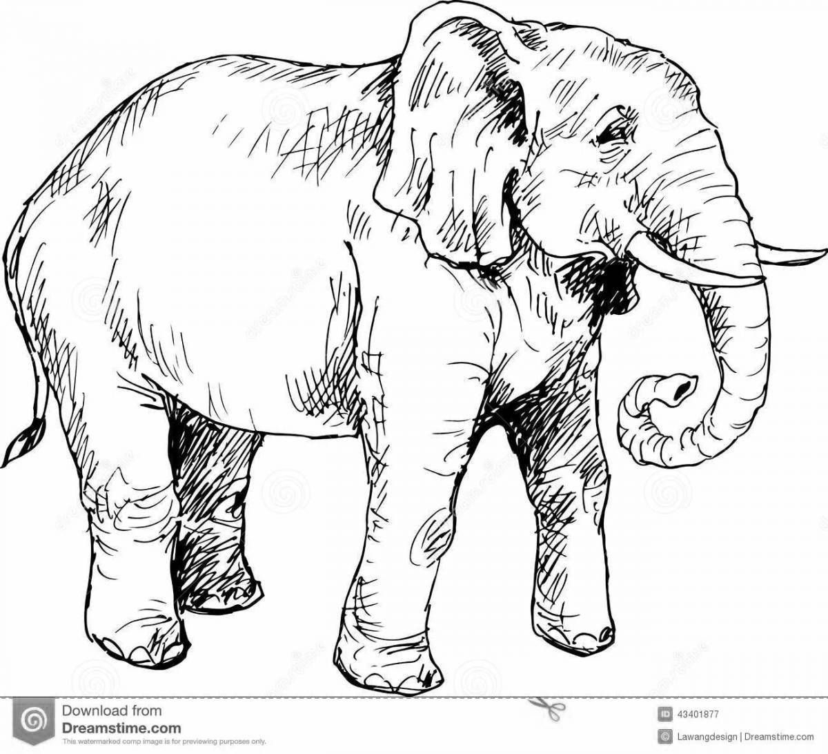 Radiant coloring elephant kuprin grade 3