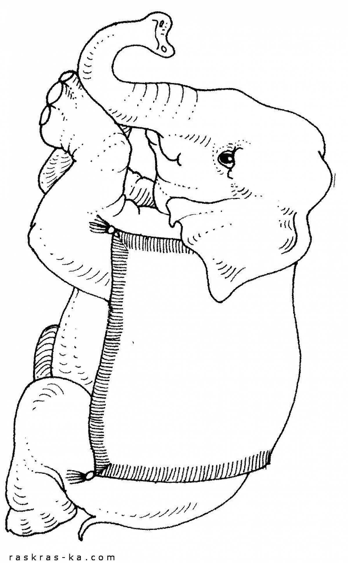 Alluring coloring elephant kuprin grade 3