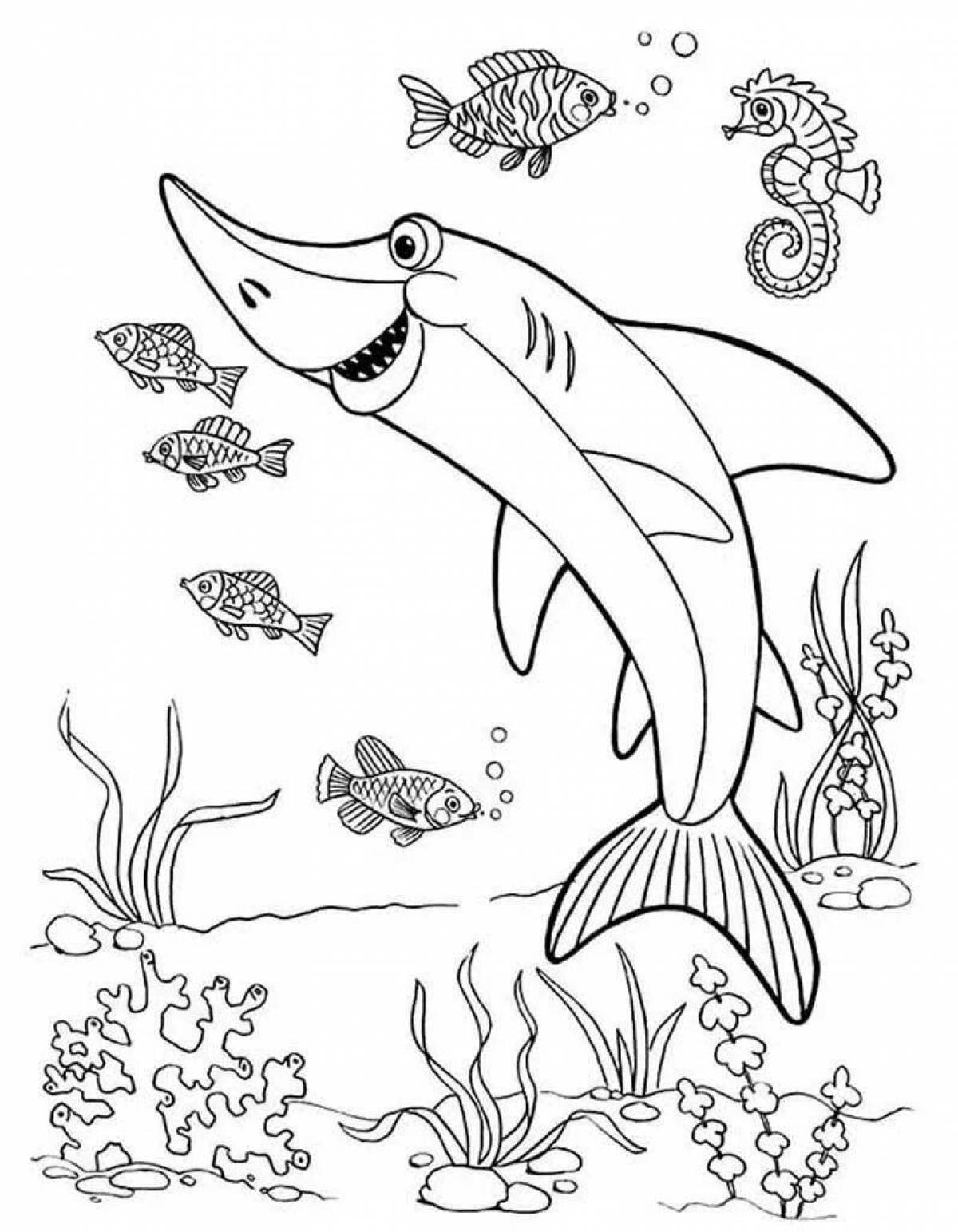 Impressive coloring pages animals of the seas and oceans