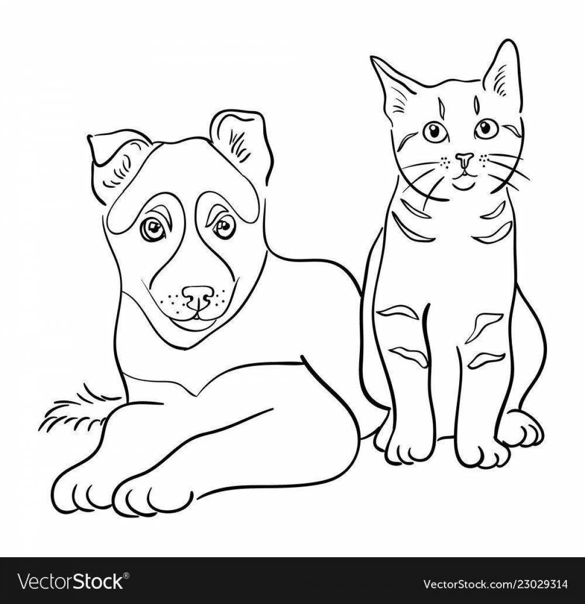 Раскраска живая кошка и собака вместе