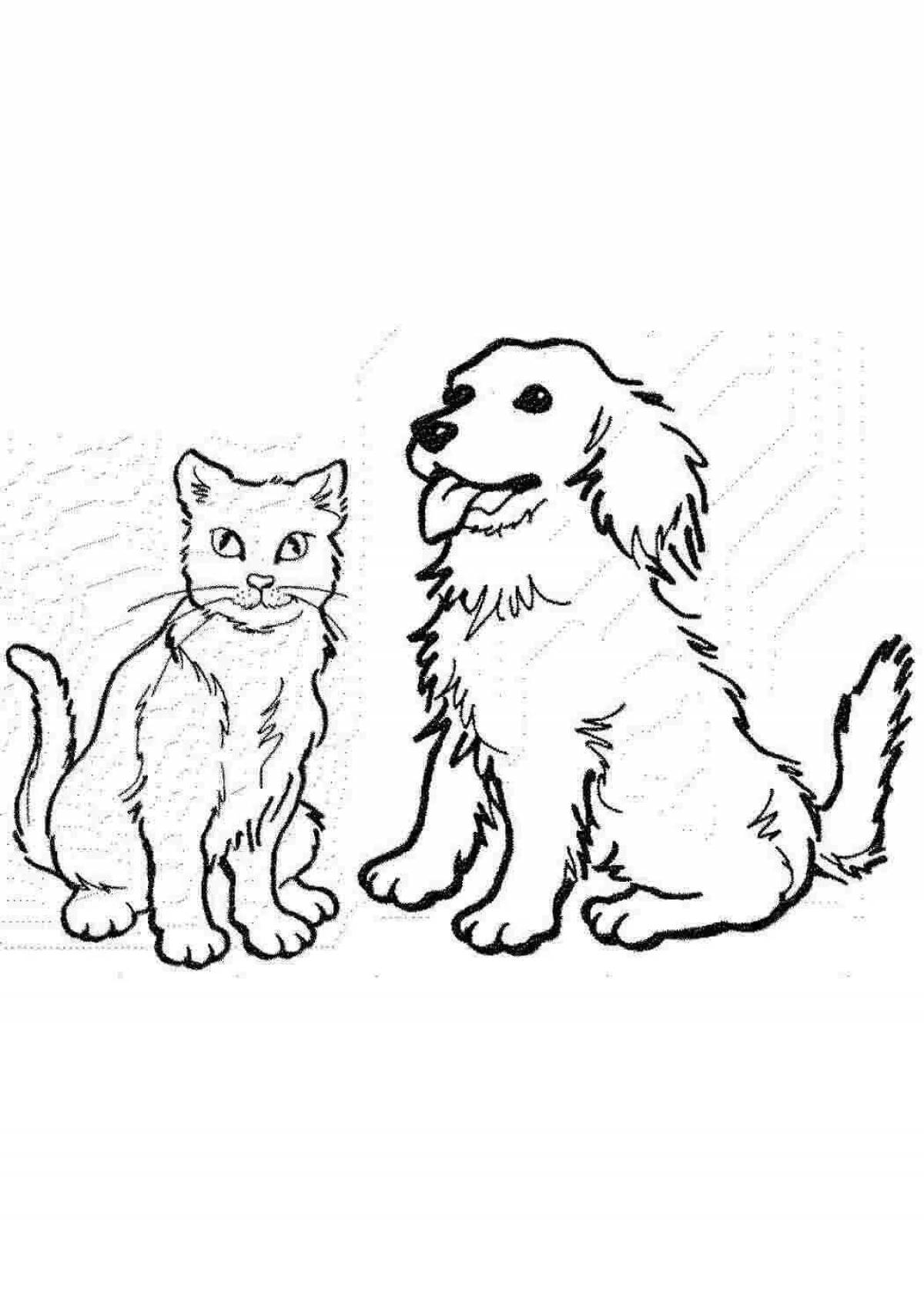 Cute cat and dog coloring together