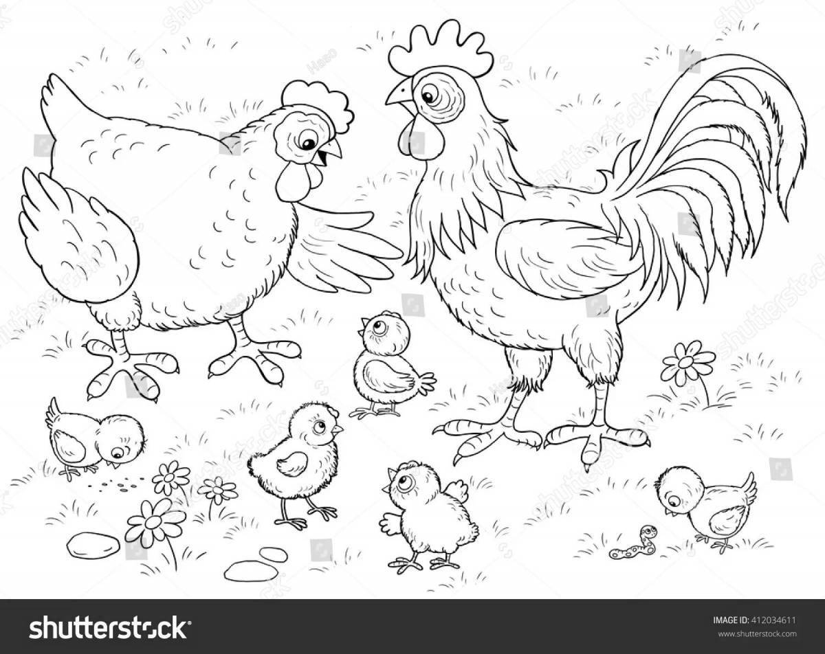 Vibrant bird coloring page in the poultry yard